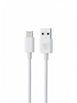 RAPID CHARGE USB