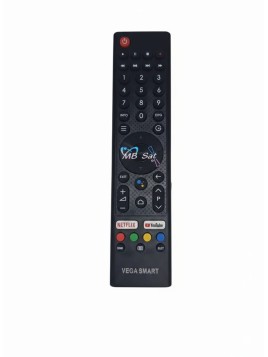 VEGA SMART REMOTE