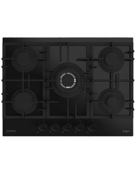 PLAQUE ENCASTRABLE 5Feux...