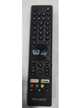 VEGA SMART REMOTE